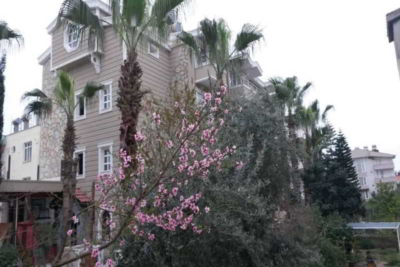 Boutique Nergiz Hotel 시데 외부 사진